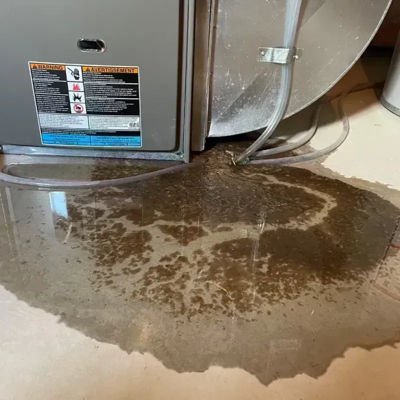 Appliance Leak Cleanup in Chatfield, MN